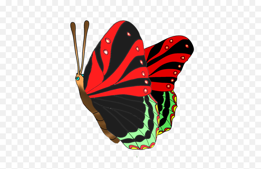 Beautiful Butterfly Images - Girly Png,Butterfly Flying Png