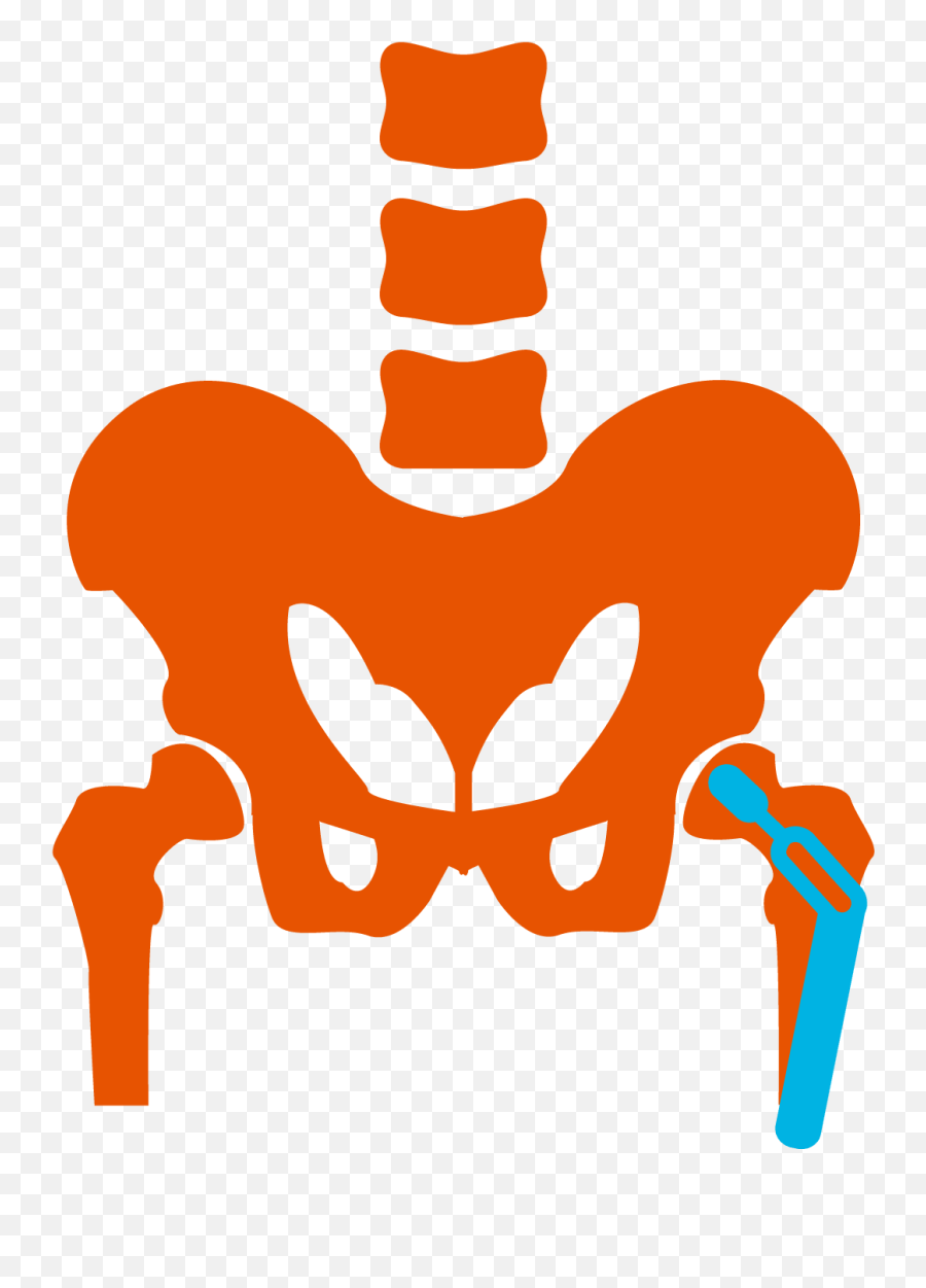 Bone And Joint Care - Total Joint Replacement Icon Png,Bone Icon