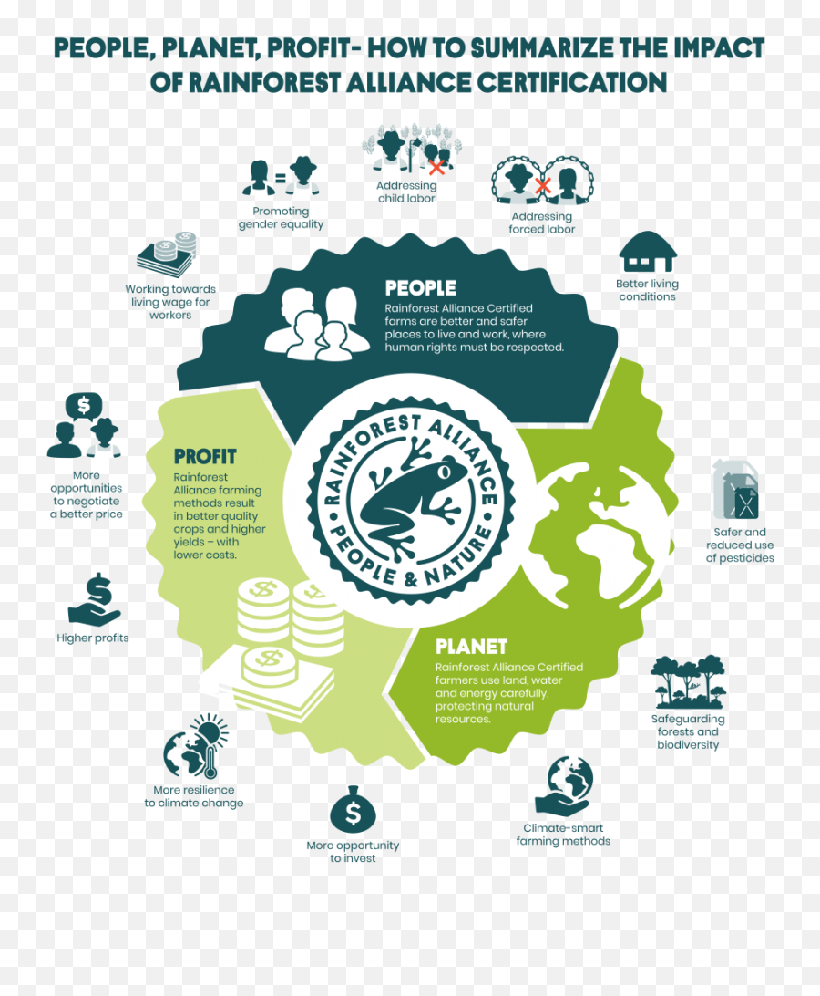 How Certification Benefits Your Company Rainforest - People Planet Profit Png,Child Labor Icon