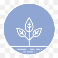 Toddler Program - Kiri Vehera png