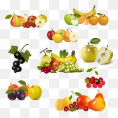 Exquisite Fruits Clipart Png Format Free - Transparent Fruit Vector Png,Fruit Clipart Png