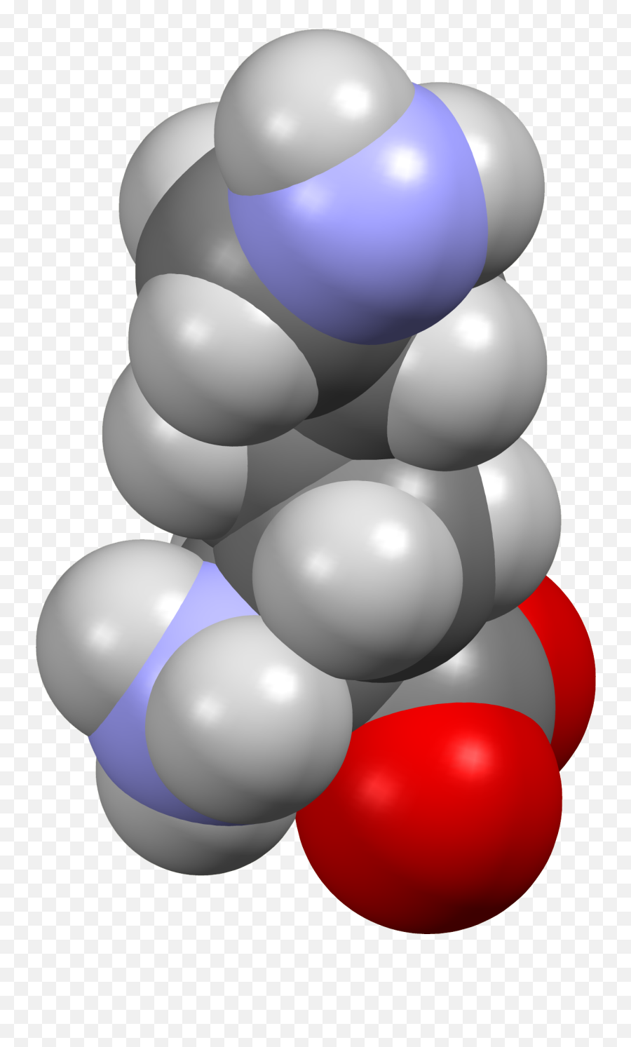 Lysine - Wikipedia Would U Describe Lysine Png,Gealtin Free Icon