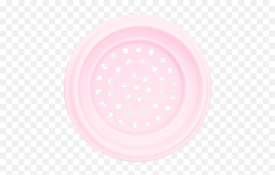 Bj1 Replacement Strainer - Outline Image Of Guava Png,Dragon Fruit Icon