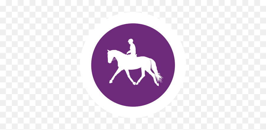 Super User - Results From 60 Icono Polo Png,Horse Riding Icon