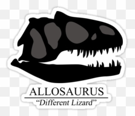 Allosaurus Skullu0027 Sticker By Thekohakudragon Skull - Allosaurus Shirt Png,Dinosaur Skull Png