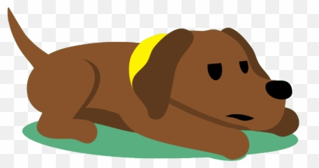 Labrador Back Legs Giving Out 4 Reasons Why Dog Breeds List - Dachshund png