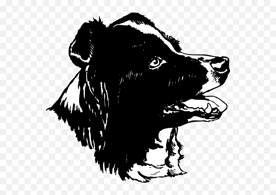 Dog Breed Border Collie Rough Car Sticker - Car Png Border Collie Black And White Silhouette,Icon Border Collies