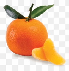 Clementine - Clementine Fine Png,Clementine Png