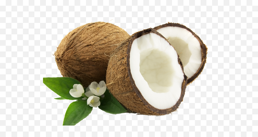Coconut Png Pictures Fresh - Cut Coconut Png,Coconut Png