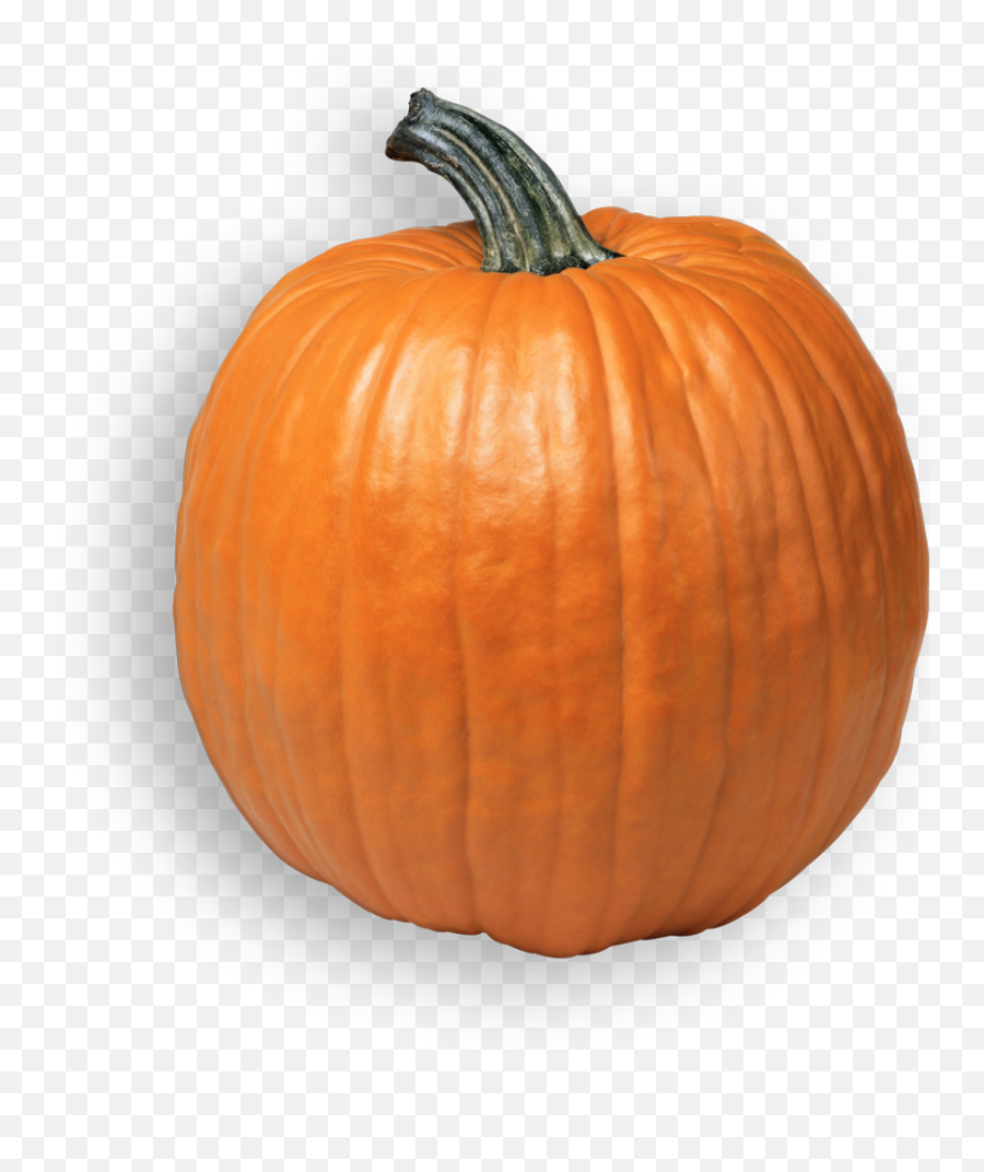 Pumpkin Png - Pumpkin Png Transparent,Pumpkins Transparent Background