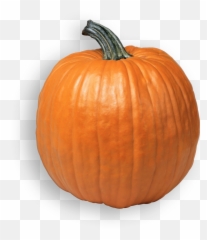 Pumpkin Png - Png Transparent