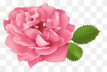 Clipart Flower Bush Png - Garden Roses