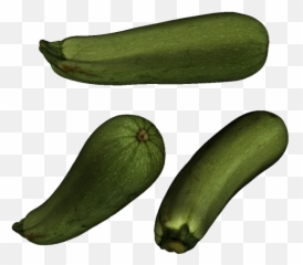 3d Printable Shell Of Zucchini - Zucchini Png,Zucchini Png
