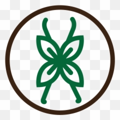 Shanku0027s Extracts Your Flavoring And Partner Since - Ayuntamiento De La Laguna Png,Vanilla Extract Png