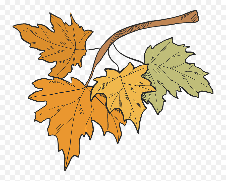 Fall Leaves Clipart Free Download Transparent Png Creazilla - Maple Leaf,Fall Leaves Clipart Png