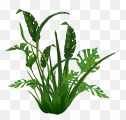 Download 938 Jungle Plants 01 By Tigers - Png