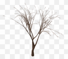 Realistic Halloween Tree Free - Roblox png