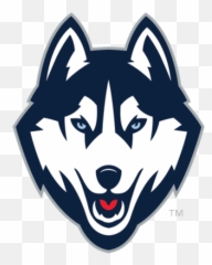 Husky Png - Uconn Husky Png,Husky Transparent