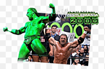 Triple H And His World Title Fight - Professional Wrestling Png,Shane Mcmahon Png