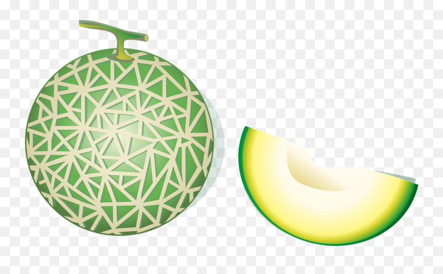 Cantaloupe Hami Melon - Free Vector Graphic On Pixabay Melon Vector Png,Melon Png