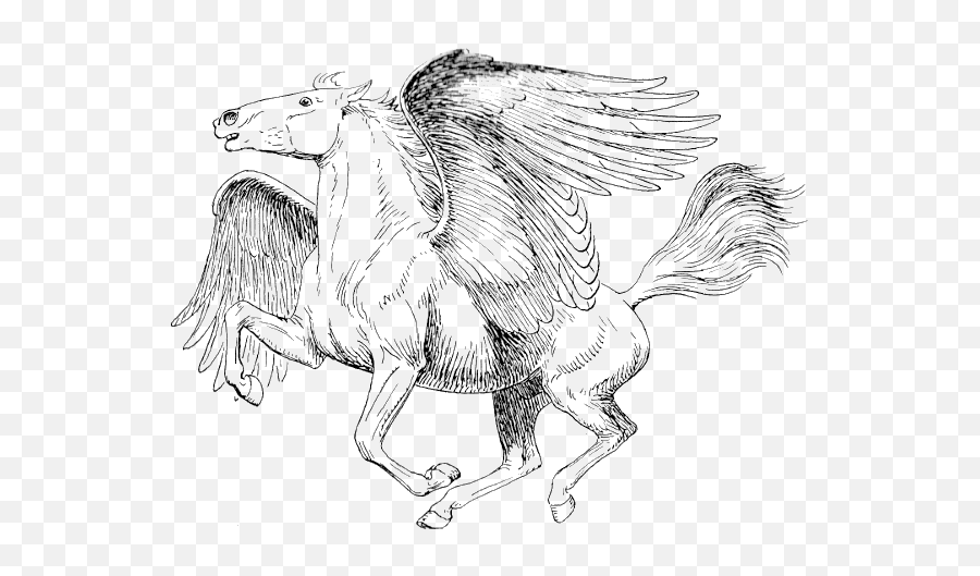 Pegasus Png Transparent Image - Mythical Creature Pegasus Coloring Pages,Pegasus Png