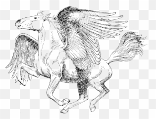 Pegasus Png Transparent Image - Mythical Creature Pegasus Coloring Pages,Pegasus Png