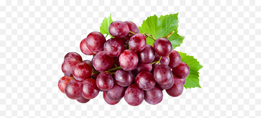 Red Grapes Png - Grapes Red Red Grapes 991185 Vippng Fruits Of The Kingdom,Grapes Transparent