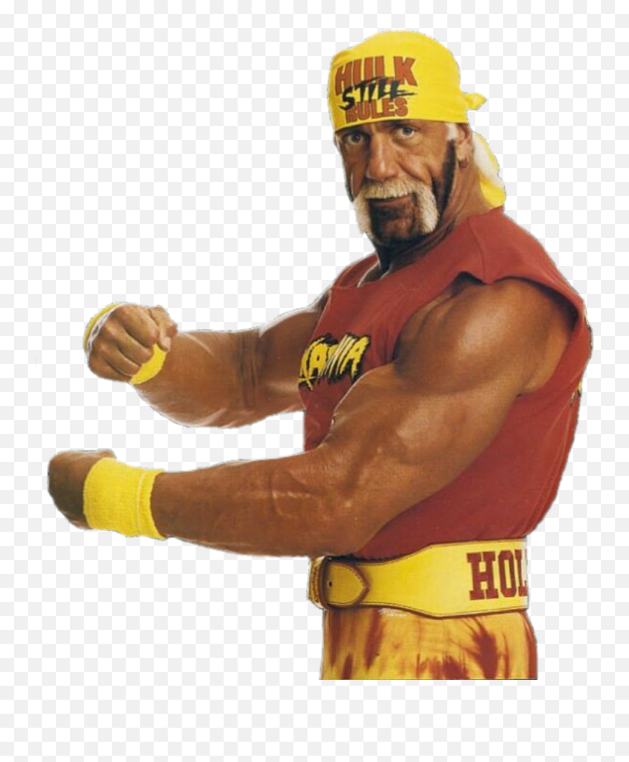 Hulk Hogan - Wwe Image Id 150020 Image Abyss Hulk Hogan Png,Hulk Hogan Transparent