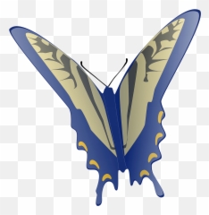 Butterfly Clip Art - Animated Flying Gif png