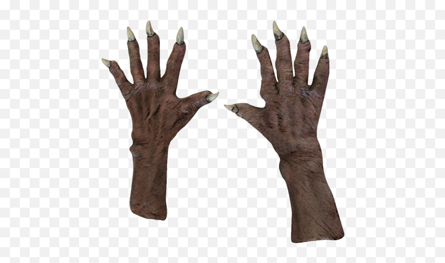 Download Ghoul Zombie Hands Gloves - Vampire Hand Png,Zombie Hands Png