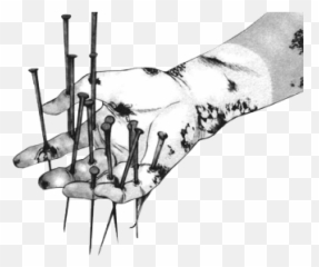 Body Horror W - Horror Transparent Png,Horror Transparent