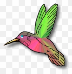 Bird Png Picture - Teal Transparent Hummingbird Clipart