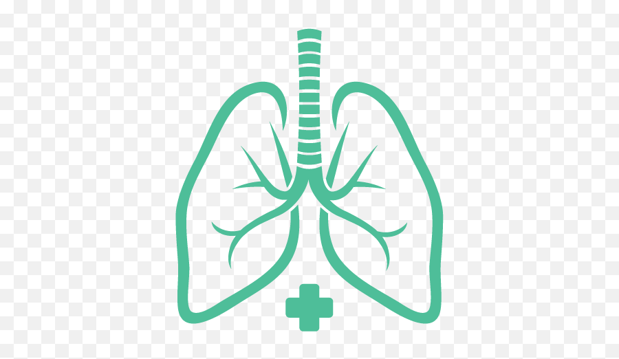 Winnie Palmer Hospital - Ese Transitions Transparent Background Lung Clipart Png,Tb Icon