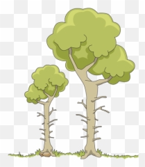 Two Forest Trees Free Svg - Dos Árboles En El Bosque Png,Forest Trees Png
