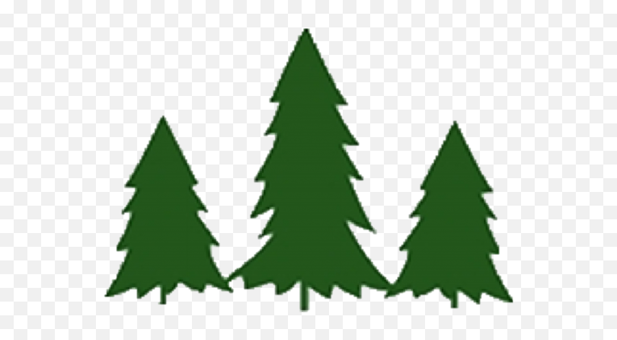 Hager Tree Farm - Password Reset Christmas Trees For Logos Png,Pine Tree Logo