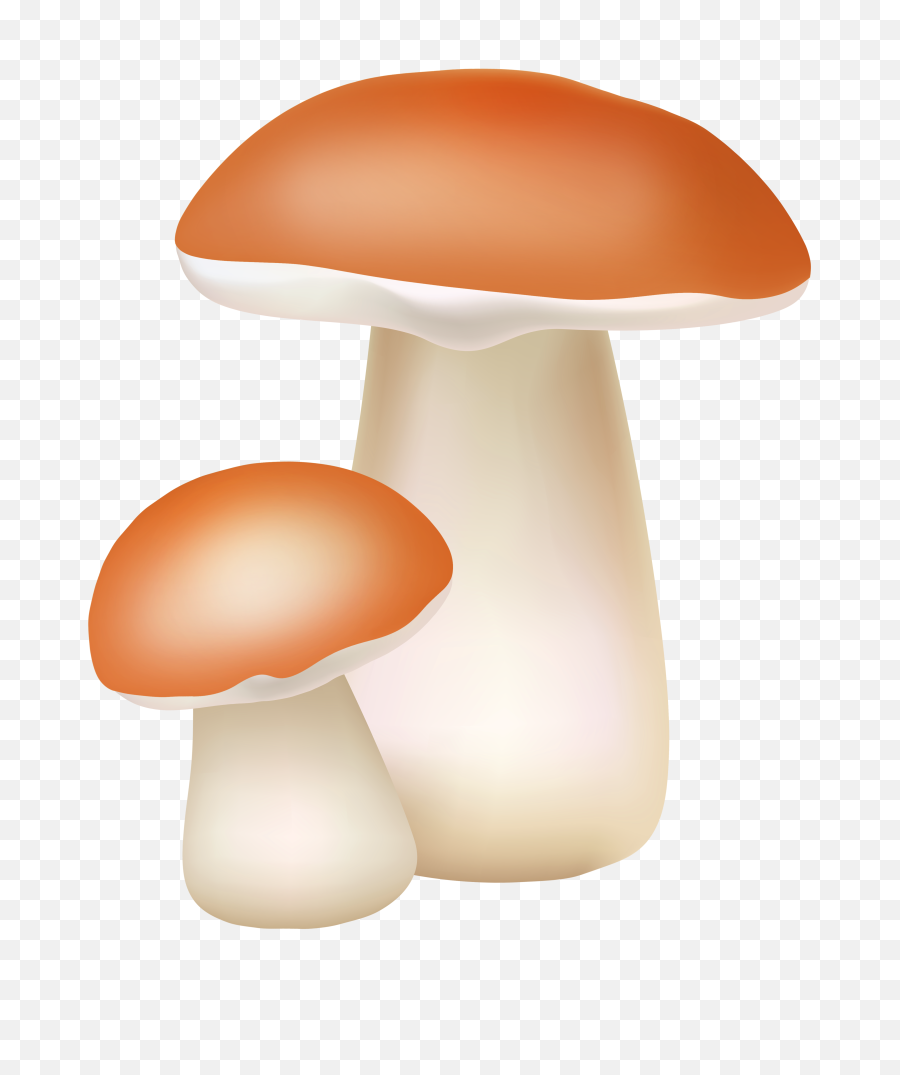 Download Hd Two Mushrooms Png Cliaprt - Png Clipart Mushroom Png Transparent Png Mushroom Clipart,Mushroom Png