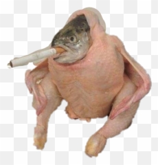Dankmemes Dank Memes - Chicken Fish Cigarette Png,Memes Png