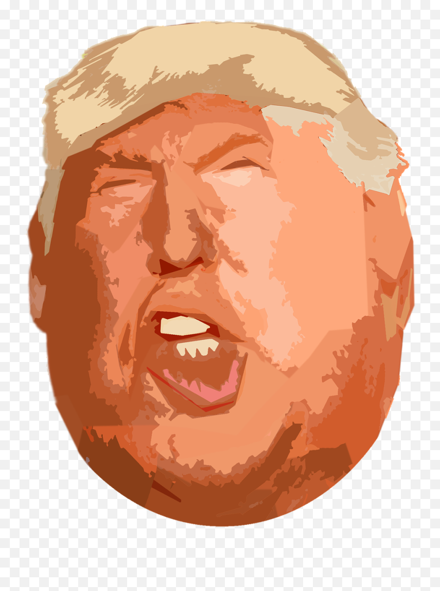 Trump President America - Free Image On Pixabay Trump Face Png Illustration,Trump Head Transparent