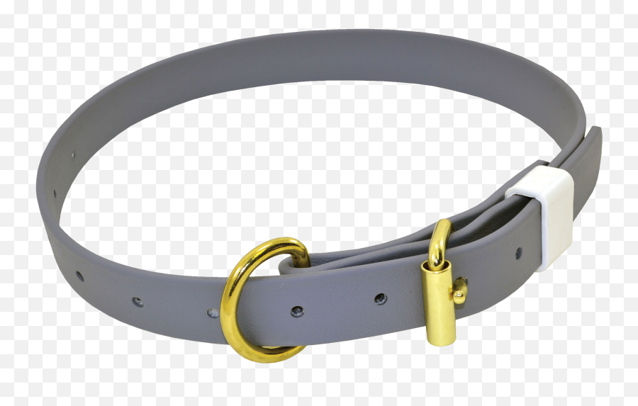 Grey Dog Collar Gold Metal Belt And - Dog Collar Transparent Background Png,Belt Transparent Background