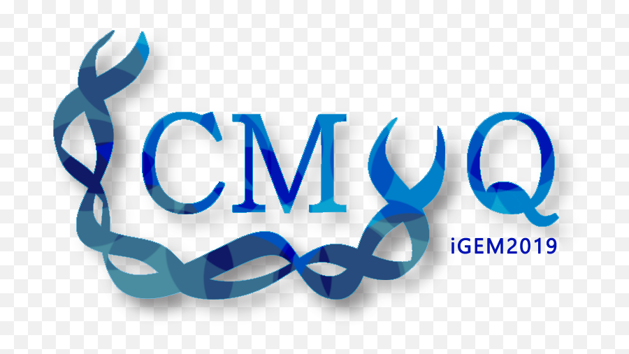 Teamcmuq - 2019igemorg Graphic Design Png,Wiki Logo