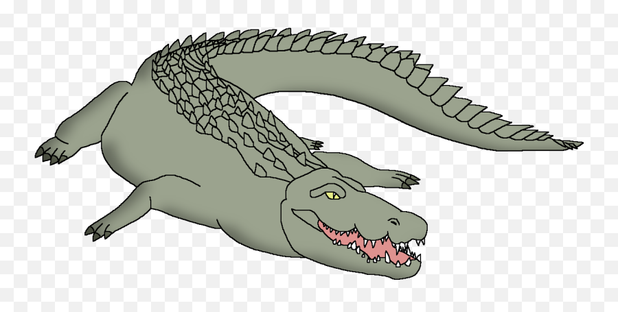 Saltwater Crocodile Wildlife Animal Pedia Wiki Fandom - Saltwater Crocodile Diet Png,Crocodile Png