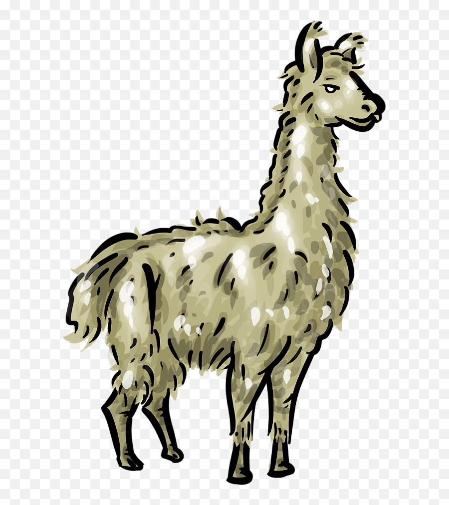 Llama Clip Art Cartoon Free Clipart - Cartoon Transparent Png Llama Clipart Llamas,Llama Png