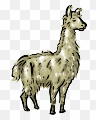 Llama Clip Art Cartoon Free Clipart - Cartoon Transparent Png Llama Clipart Llamas,Llama Png