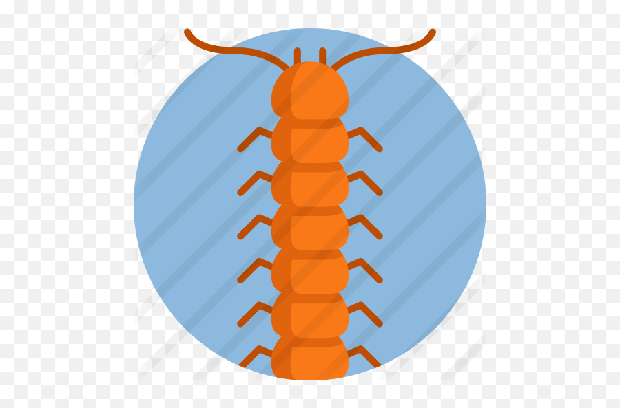 Centipede - Silverfish Png,Centipede Png