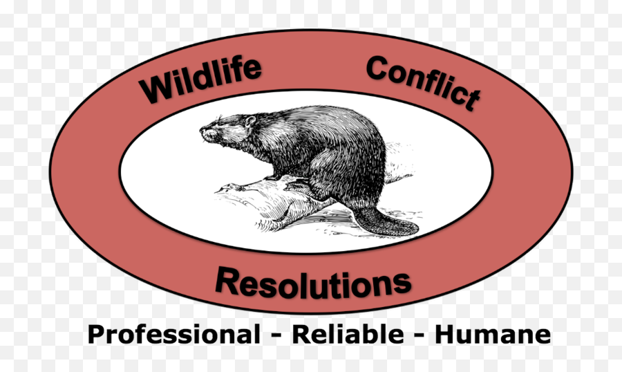 Lake Anna And Fredericksburgu0027s Premiere Groundhog Removal Png