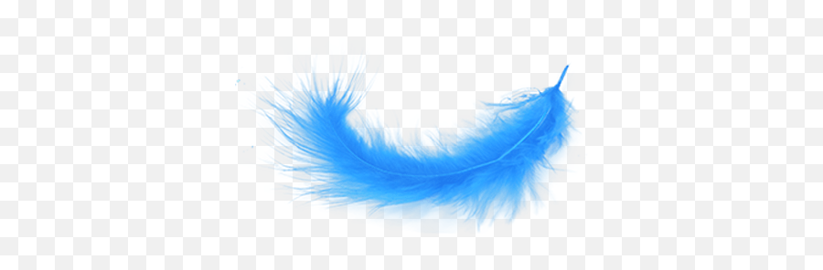 Feather Black Transparent Png - Stickpng Blue Feather Png,Black Feather Png
