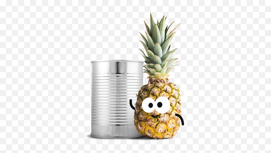 Fresh Canned Pineapples - Pineapple With White Background Pineapple Hd Png,Pineapples Png