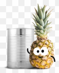 Fresh Canned Pineapples - With White Background Hd png