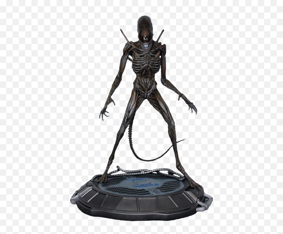Alien Covenant - Xenomorph 14 Scale Statue By Hollywood Antioquia La Mas Educada Png,Xenomorph Png