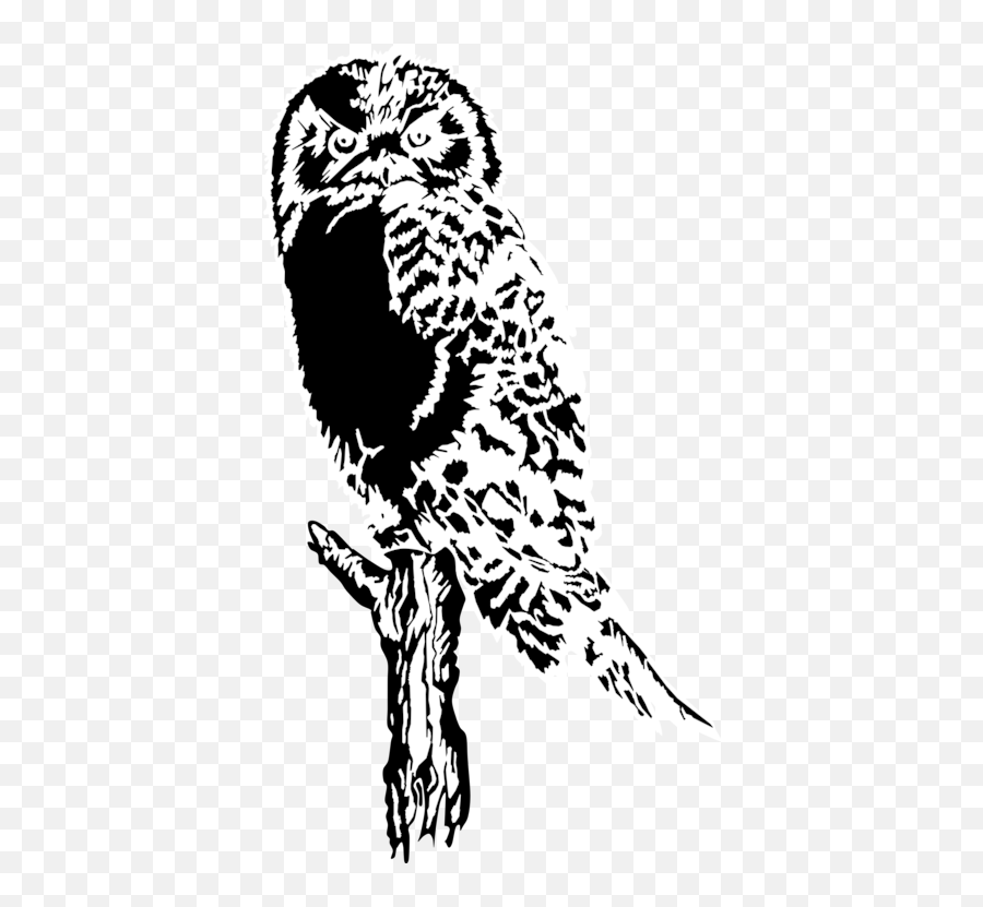 Owlartmonochrome Photography Png Clipart - Royalty Free Owl Silhouette,Barn Owl Png